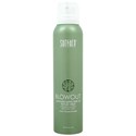 Surface Hair CANNABIS SATIVA SEED OIL TEXTURE SPRAY 4 Fl. Oz.